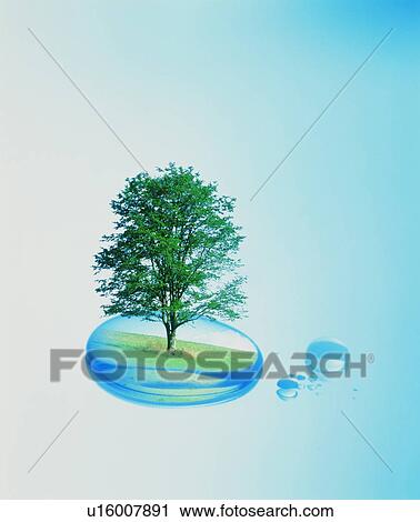 Tree on water droplet View Large Photo Image Stock Image - Tree on water droplet. Fotosearch