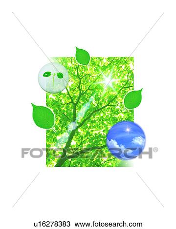 Stock Image - Tree, spheres and leaves. Fotosearch