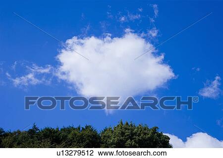 Stock Image - Trees below blue sky with clouds. Fotosearch