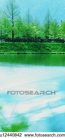 Trees lining a lake View Large Photo Image Stock Image - Trees lining a lake. Fotosearch