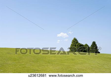 Stock Image - Trees on hill below blue sky, Ishioka, Ibaraki Prefecture, Japan. Fotosearch
