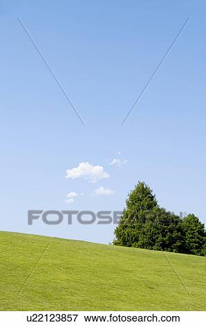 Trees on hill below blue sky, Ishioka, Ibaraki Prefecture, Japan View Large Photo Image Stock Photo - Trees on hill below blue sky, Ishioka, Ibaraki Prefecture, Japan. Fotosearch
