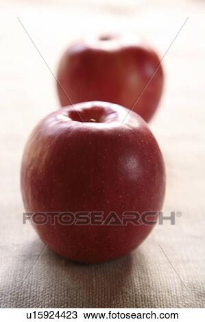 Two apples View Large Photo Image Stock Image - Two apples. Fotosearch