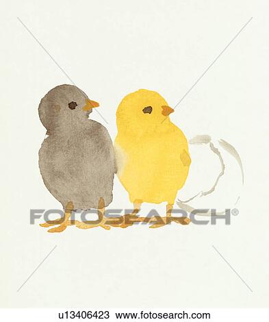 Two Chicks, Water Color Painting View Large Photo Image Stock Image - Two Chicks, Water Color Painting. Fotosearch