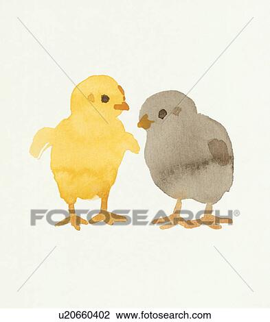Two Chicks, Water Color Painting View Large Photo Image Stock Image - Two Chicks, Water Color Painting. Fotosearch