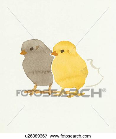 Two Chicks, Water Color Painting View Large Photo Image Stock Photo - Two Chicks, Water Color Painting. Fotosearch