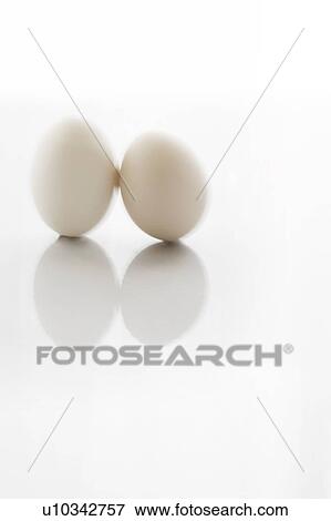 Two eggs leaning on one another View Large Photo Image Stock Photo - Two eggs leaning on one another. Fotosearch