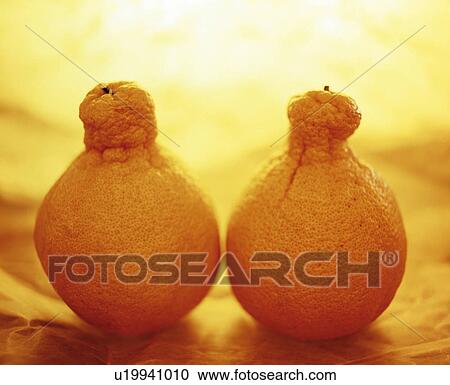 Stock Image - Two oranges. Fotosearch