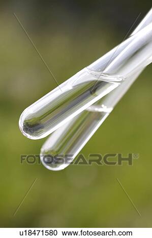 Stock Image - Two test tubes. Fotosearch