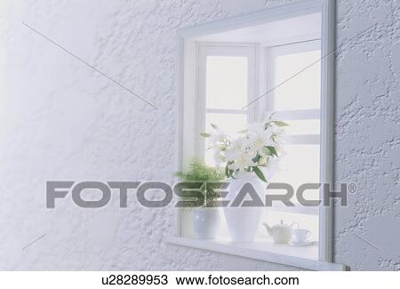 Two white flower pots on window sill View Large Photo Image Stock Image - Two white flower pots on window sill. Fotosearch