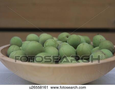 Unripe plums View Large Photo Image Stock Image - Unripe plums. Fotosearch