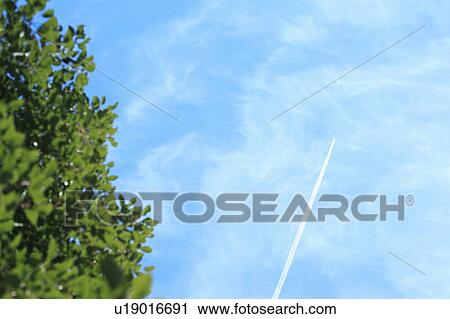 Vapor trail in the sky View Large Photo Image Stock Image - Vapor trail in the sky. Fotosearch