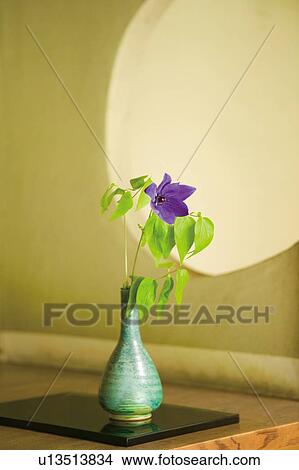 Vase of flowers View Large Photo Image Picture - Vase of flowers. Fotosearch