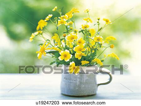 Vase of flowers View Large Photo Image Stock Image - Vase of flowers. Fotosearch