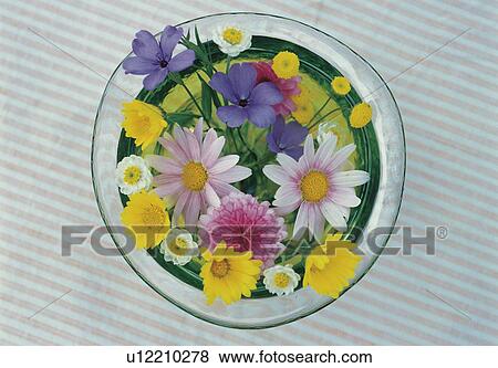 Stock Photo - Vase of flowers. Fotosearch