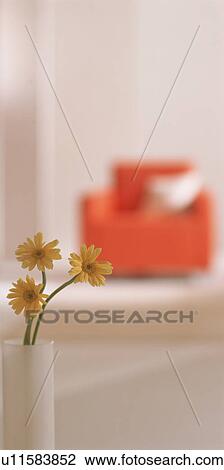 Stock Image - Vase of flowers with red sofa in background. Fotosearch