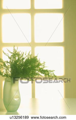 Stock Photo - Vase on table next to window. Fotosearch