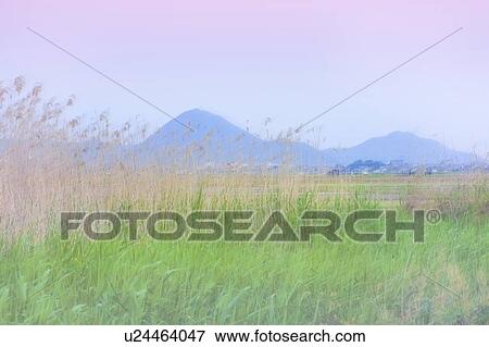 View across field to Mt. Omifuji, Otsu, Shiga Prefecture, Japan View Large Photo Image Stock Photo - View across field to Mt. Omifuji, Otsu, Shiga Prefecture, Japan. Fotosearch