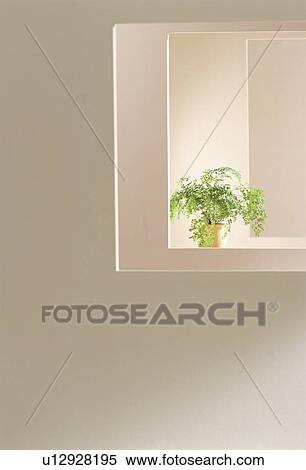 Stock Photography - View of pot plant through multiple windows. Fotosearch