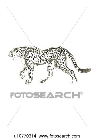 Picture - Walking Leopard, Gray Ink Illustration. Fotosearch