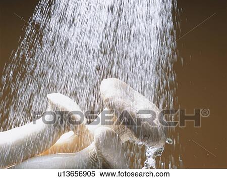 Washing king oyster mushroom View Large Photo Image Stock Photography - Washing king oyster mushroom. Fotosearch