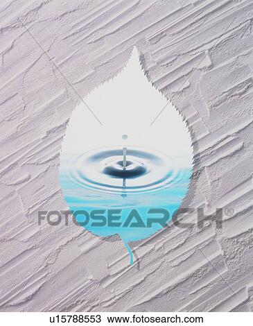 Stock Image - Water drop and ripples framed in leaf shape. Fotosearch