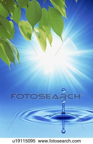 Water drop View Large Photo Image Stock Photography - Water drop. Fotosearch