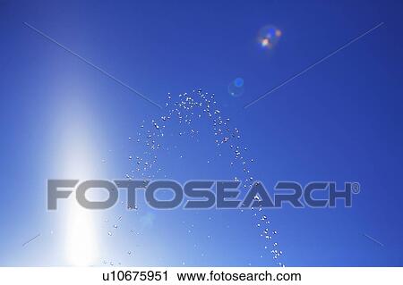 Stock Image - Water drops against blue sky, blue background. Fotosearch