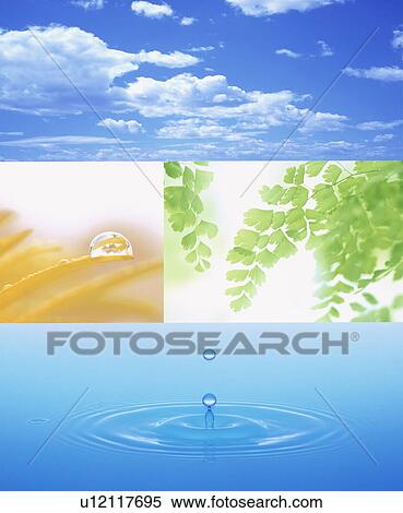 Water drops with sky and tree leaves View Large Photo Image Stock Photography - Water drops with sky and tree leaves. Fotosearch