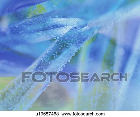 Stock Photo - Water in glass with bubbles. Fotosearch