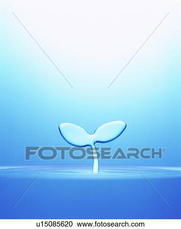 Stock Image - Water in the shape of a seedling. Fotosearch