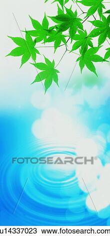 Water ripples under tree leaves View Large Photo Image Stock Image - Water ripples under tree leaves. Fotosearch