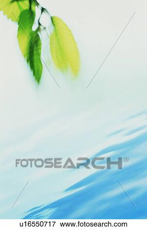Water ripples under tree leaves View Large Photo Image Stock Photo - Water ripples under tree leaves. Fotosearch