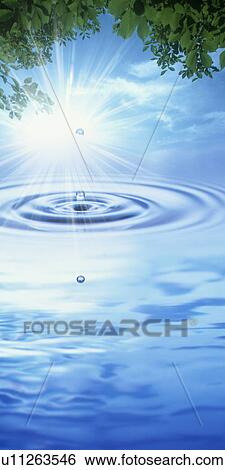 Stock Photograph - Water ripples under tree leaves. Fotosearch