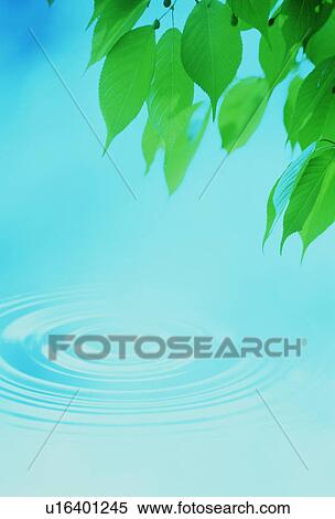 Water ripples under tree leaves View Large Photo Image Stock Photography - Water ripples under tree leaves. Fotosearch