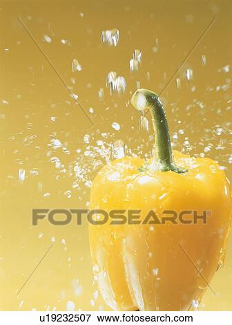 Stock Photo - Water splashing on yellow bell pepper. Fotosearch
