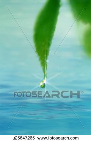 Waterdrop View Large Photo Image Stock Photography - Waterdrop. Fotosearch