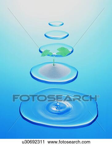 Stock Image - Waterdrops in a row. Fotosearch