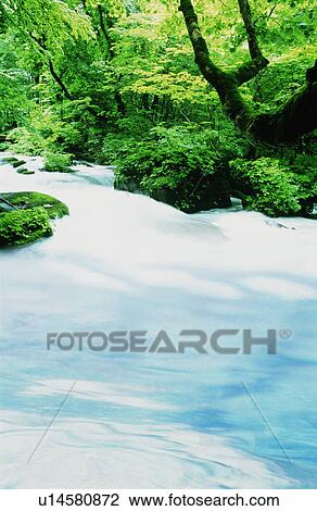 Stock Image - Waterfall in a forest. Fotosearch