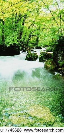 Stock Photo - Waterfall in a forest. Fotosearch