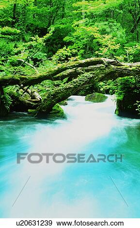 Stock Photo - Waterfall in a forest. Fotosearch