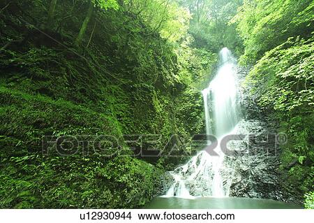 Picture - Waterfall in Green Forest. Fotosearch