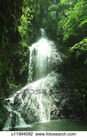 Waterfall in Green Forest View Large Photo Image Stock Image - Waterfall in Green Forest. Fotosearch