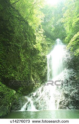 Waterfall in Green Forest View Large Photo Image Stock Image - Waterfall in Green Forest. Fotosearch