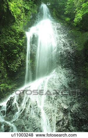 Stock Photo - Waterfall in Green Forest. Fotosearch