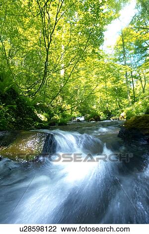 Stock Image - Waterfall . Fotosearch