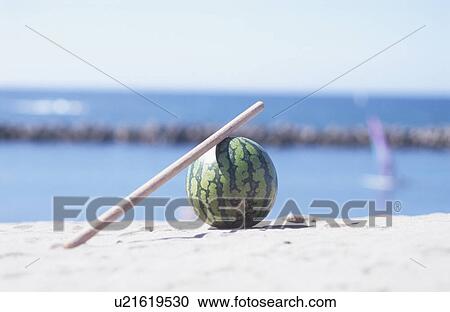Watermelon on sandy beach with stick. Niigata Prefecture, Japan View Large Photo Image Stock Image - Watermelon on sandy beach with stick. Niigata Prefecture, Japan. Fotosearch