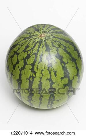 Picture - Watermelon, white background. Fotosearch