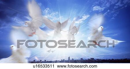 White doves flying over cityscape View Large Photo Image Stock Image - White doves flying over cityscape. Fotosearch
