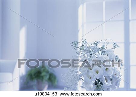 Stock Image - White flowers in room near window. Fotosearch